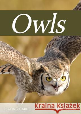 Owls Playing Cards  9781591939344 Adventure Publications - książka