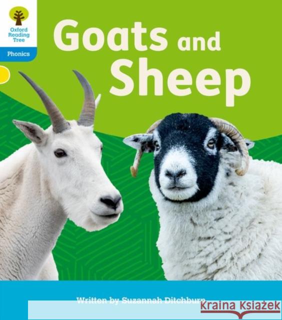 Oxford Reading Tree: Floppy's Phonics Decoding Practice: Oxford Level 3: Goats and Sheep Suzannah Ditchburn 9781382030502 Oxford University Press - książka