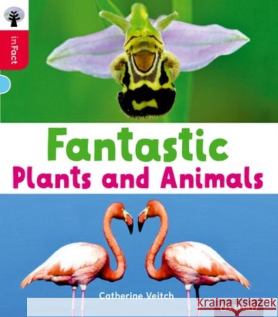 Oxford Reading Tree inFact: Oxford Level 4: Fantastic Plants and Animals Veitch, Catherine 9780198370994 Oxford University Press - książka