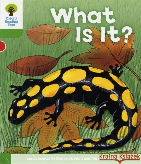 Oxford Reading Tree: Level 2: More Patterned Stories A: What Is It? Hunt, Roderick|||Page, Thelma 9780198481621  - książka