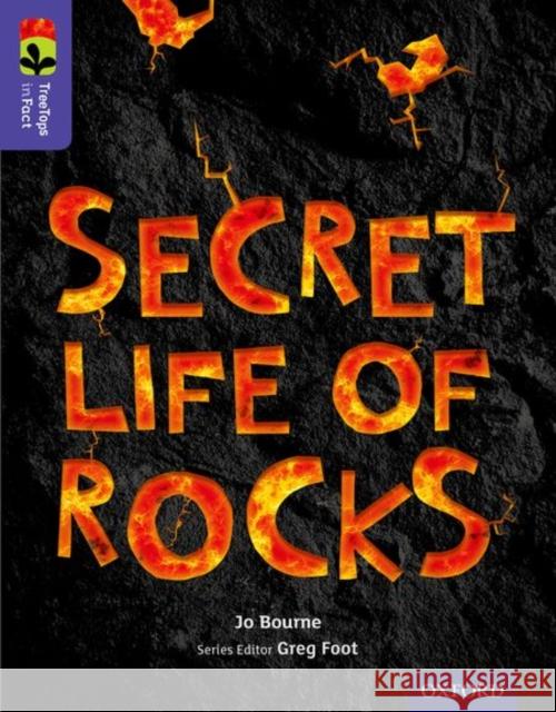 Oxford Reading Tree TreeTops inFact: Level 11: Secret Life of Rocks Bourne, Jo 9780198306511 Oxford University Press - książka