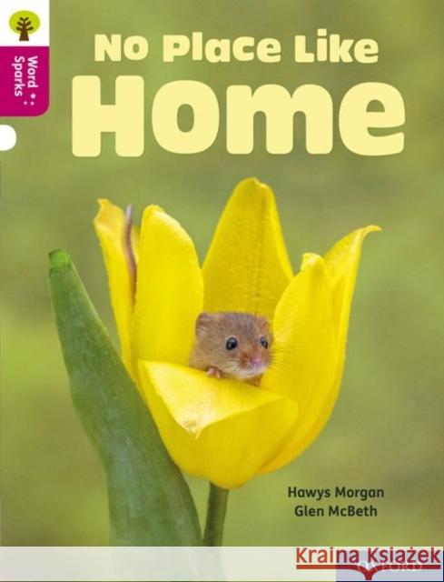 Oxford Reading Tree Word Sparks: Level 10: No Place Like Home Morgan, Hawys 9780198496908 Oxford University Press - książka