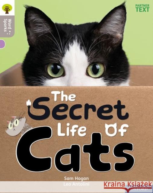 Oxford Reading Tree Word Sparks: Level 1: The Secret Life of Cats Leo Antolini James Clements Shareen Wilkinson 9780198497585 Oxford University Press - książka