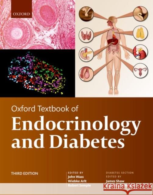 Oxford Textbook of Endocrinology and Diabetes 3e John Wass Wiebke Arlt Robert Semple 9780198870197 Oxford University Press, USA - książka