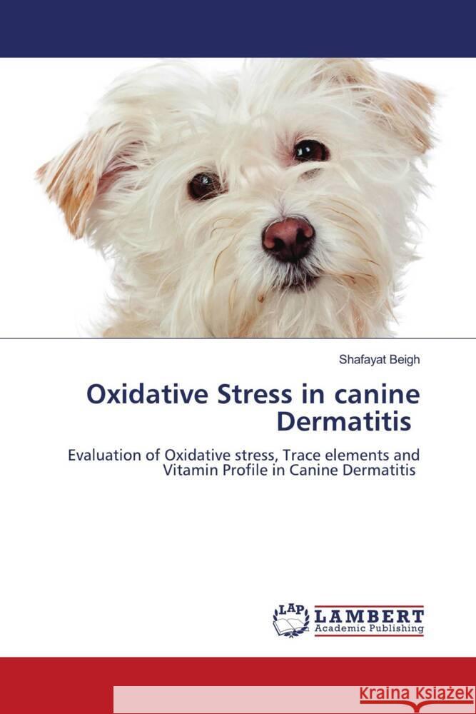 Oxidative Stress in canine Dermatitis Beigh, Shafayat 9786205519165 LAP Lambert Academic Publishing - książka