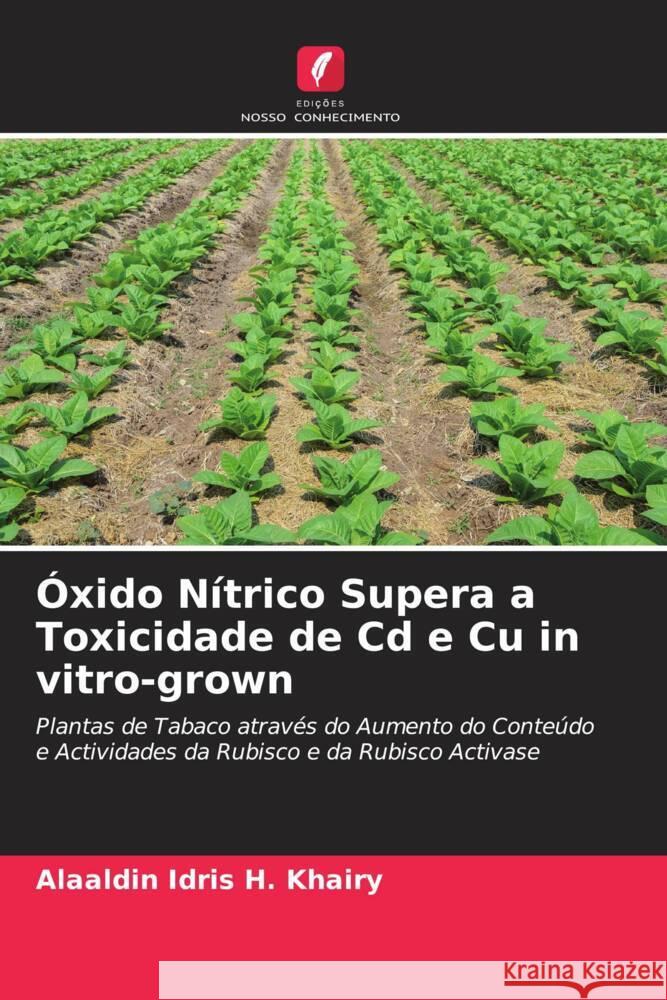 Óxido Nítrico Supera a Toxicidade de Cd e Cu in vitro-grown Khairy, Alaaldin Idris H. 9786205110287 Edições Nosso Conhecimento - książka