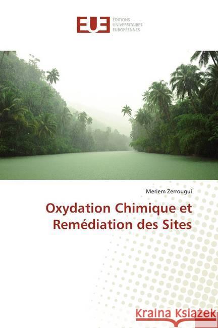 Oxydation Chimique et Remédiation des Sites Zerrougui, Meriem 9786202284561 Éditions universitaires européennes - książka