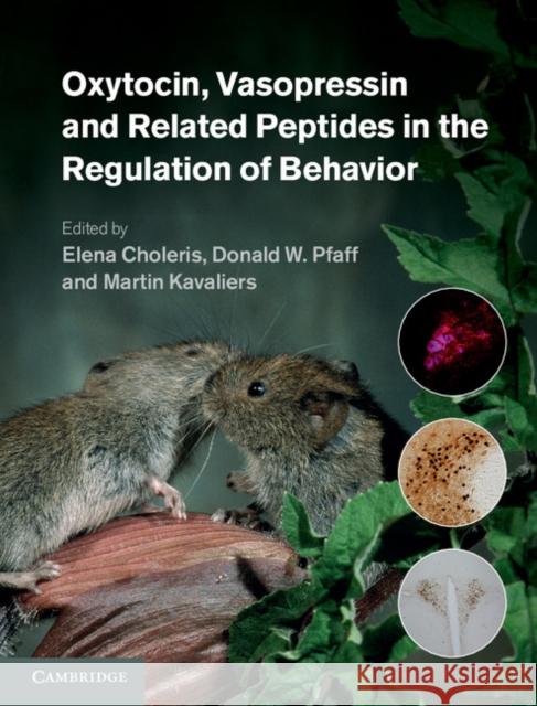 Oxytocin, Vasopressin and Related Peptides in the Regulation of Behavior Elena Choleris 9780521190350  - książka