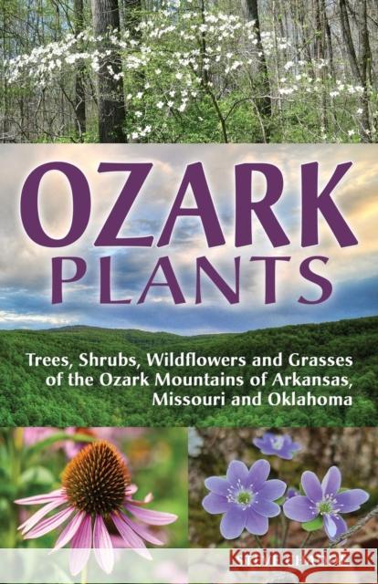 Ozark Plants Steve Chadde 9781951682552 Orchard Innovations - książka