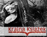 Ozvěna Jiří Brůna 9788090664630 Mlhovina - książka