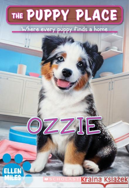 Ozzie (The Puppy Place #70) Ellen Miles 9781546131519 Scholastic Paperbacks - książka