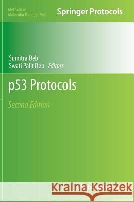 P53 Protocols Deb, Sumitra 9781627032353  - książka