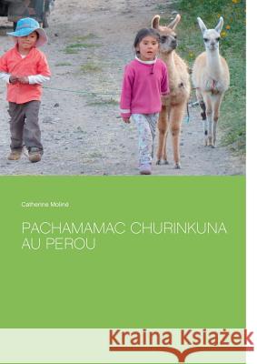 Pachamamac Churinkuna au Perou Catherine Moline 9782322174812 Books on Demand - książka