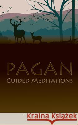 Pagan Guided Meditations Yucca Oldoitter 9781511422680 Createspace - książka