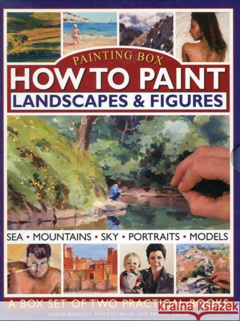 Painting Box Sarah Hoggett 9780754824473  - książka