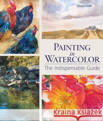 Painting in Watercolor: The Indispensable Guide David Webb 9781770857384 Firefly Books - książka