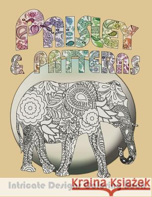 Paisley and Patterns: Intricate Designs Coloring Book Mix Books 9781499125061 Createspace - książka