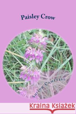 Paisley Crow Miss Shiloh Ann Campbell 9781512393095 Createspace - książka