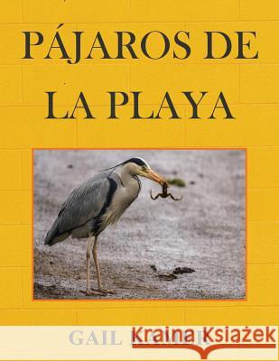 Pajaros de la Playa Gail Kamer 9781544007595 Createspace Independent Publishing Platform - książka