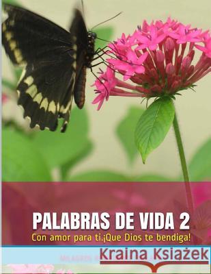 Palabras de Vida 2: Testimonios Milagros Rodrigue 9781539700647 Createspace Independent Publishing Platform - książka