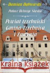 Pałace Dolnego Śląska. Powiat trzebnicki... Dąbrowski Damian 9788366371378 Wydawnictwo CM - książka