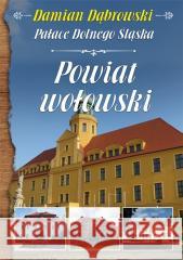 Pałace Dolnego Śląska. Powiat wołowski Damian Dąbrowski 9788367240383 Wydawnictwo CM - książka