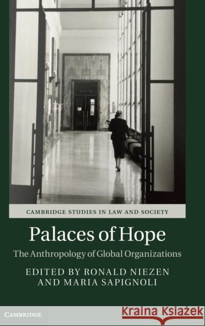 Palaces of Hope: The Anthropology of Global Organizations Niezen, Ronald 9781107127494 Cambridge University Press - książka