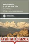 Palaeomagnetism in Fold and Thrust Belts: New Perspectives E. L. Pueyo, F. Cifelli, A. J. Sussman, Oliva-Urcia Belen 9781862397378 Geological Society