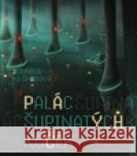 Palác šupinatých koček Jarmila Kašparová 9788027523856 Host - książka
