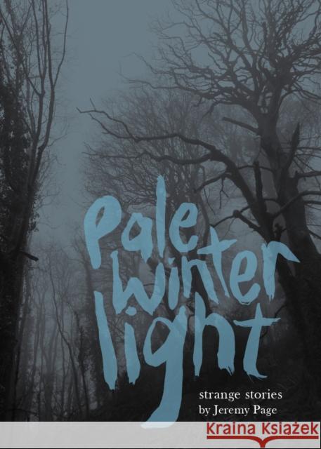 Pale Winter Light Jeremy Page 9781916905191 Propolis - książka