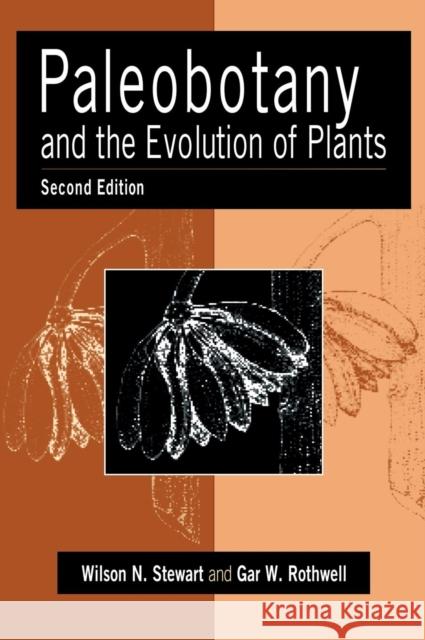 Paleobotany and the Evolution of Plants Wilson N. Stewart Gar W. Rothwell 9780521382946 Cambridge University Press - książka