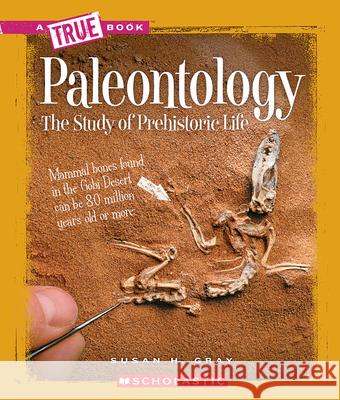 Paleontology (a True Book: Earth Science) Gray, Susan H. 9780531282748 Children's Press - książka