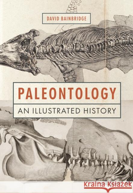 Paleontology: An Illustrated History David Bainbridge 9780691220925 Princeton University Press - książka