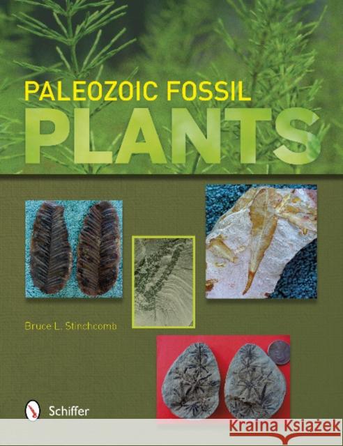 Paleozoic Fossil Plants Stinchcomb, Bruce L. 9780764343278 Schiffer Publishing - książka