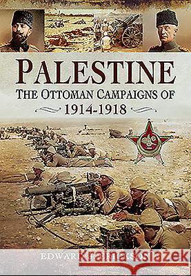 Palestine: The Ottoman Campaigns of 1914-1918 Edward J. Erickson 9781473827370 Pen & Sword Books - książka