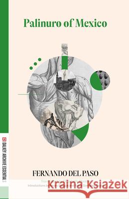Palinuro of Mexico Fernando de Elisabeth Plaister 9781628975635 Dalkey Archive Press - książka
