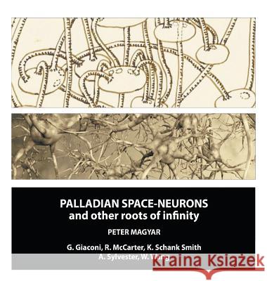 Palladian Space-Neurons and other Roots of Infinity Peter Magyar 9781635241600 Litfire Publishing - książka