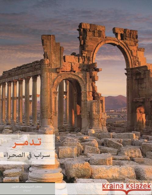 Palmyra: Mirage in the Desert  9781617979149 American University in Cairo Press - książka