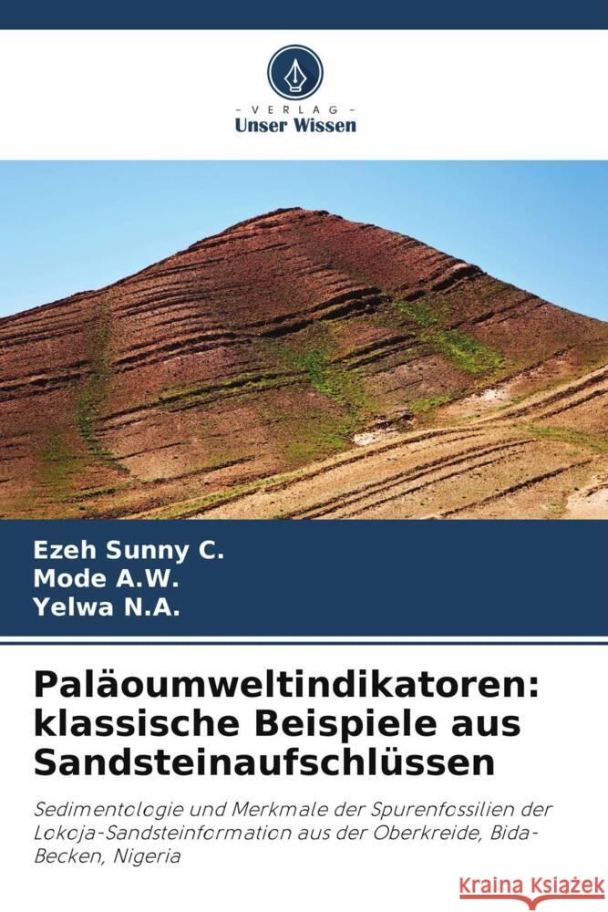 Paläoumweltindikatoren: klassische Beispiele aus Sandsteinaufschlüssen Sunny C., Ezeh, A.W., Mode, N.A., Yelwa 9786208248277 Verlag Unser Wissen - książka