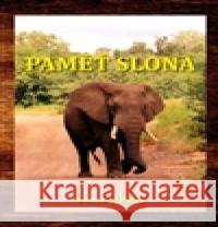 Paměť slona Peter Hanks 9788026075011  - książka