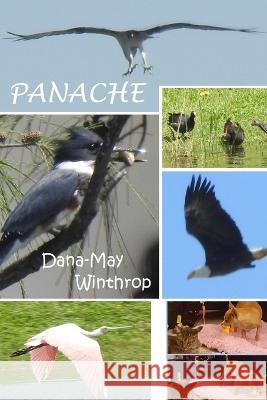 Panache Dana-May Winthrop 9798357365842 Independently Published - książka