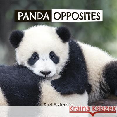 Panda Opposites  9781771473309 Owlkids - książka