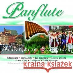 Panflute - Największe szlagiery CD  5906409108239 MTJ - książka