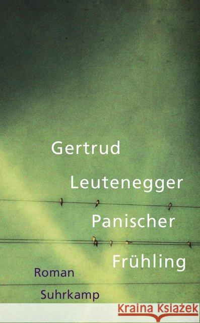 Panischer Frühling : Roman Leutenegger, Gertrud 9783518466414 Suhrkamp - książka