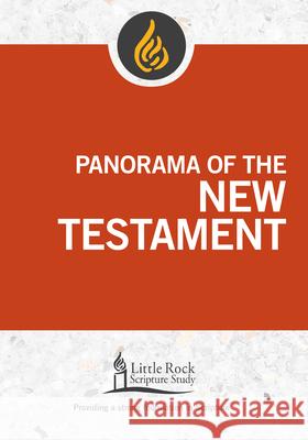 Panorama of the New Testament Stephen J. Binz Little Rock Scripture Study 9780814663745 Little Rock Scripture Study - książka