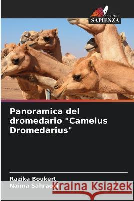 Panoramica del dromedario Camelus Dromedarius Razika Boukert Naima Sahraoui  9786205907627 Edizioni Sapienza - książka