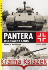 Pantera Legendarny czołg Thomas Anderson 9788381517294 RM - książka