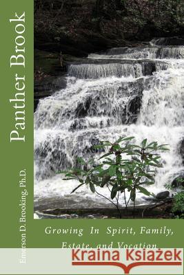 Panther Brook: Growing In Spirit, Family, Estate, and Vocation Brooking, Virginia 9780692706176 Panther Brook Spiritual Center - książka