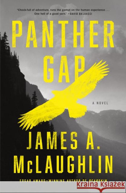 Panther Gap: A Novel James A. McLaughlin 9781250832689 Flatiron Books - książka