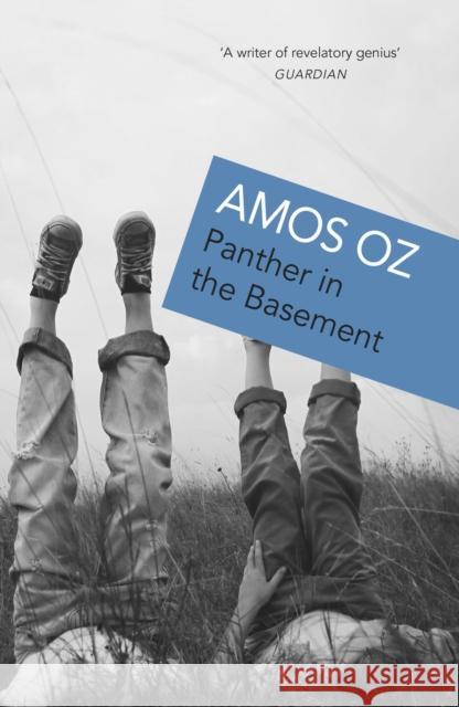Panther In The Basement Amos Oz 9780099754015 Vintage Publishing - książka